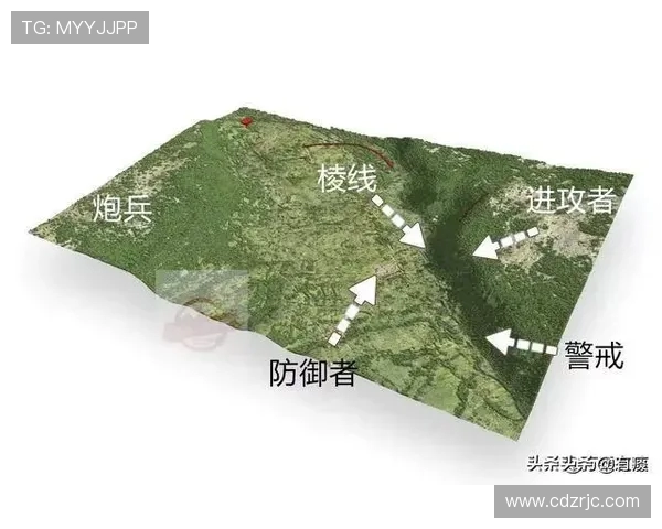 深圳排球队防反战术解析与实战应用探讨